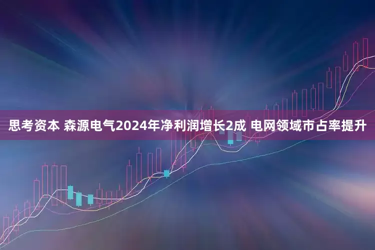 思考资本 森源电气2024年净利润增长2成 电网领域市占率提升