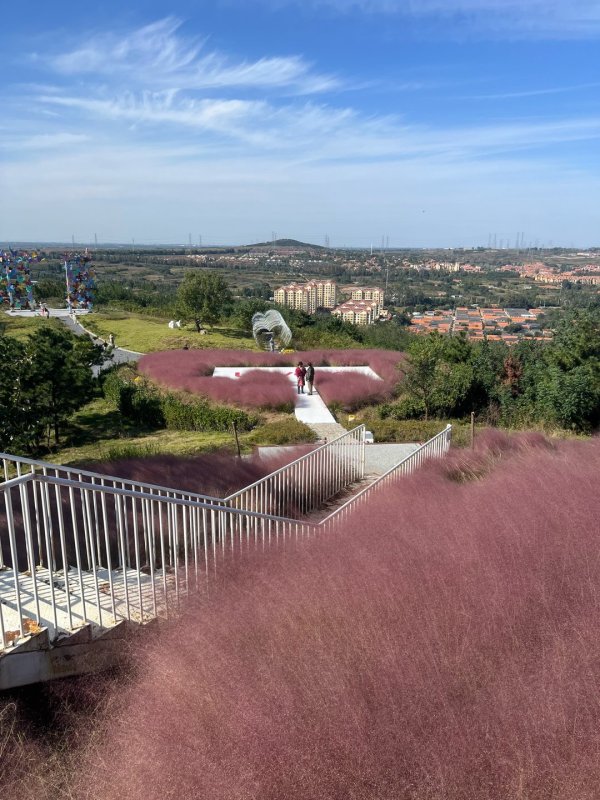 信捷策路 天泰山粉黛乱子草盛放：秋日“粉色云海”引客来，花期仅月余需抓紧打卡